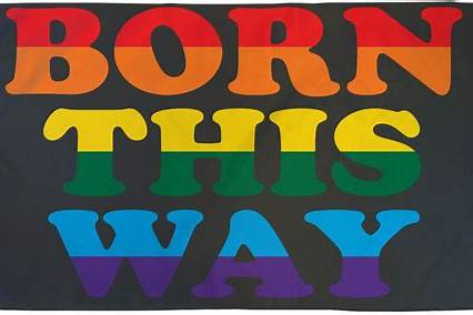 BORN THIS WAY LGBT