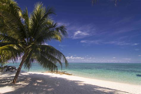 borneo beach & mangrove resort