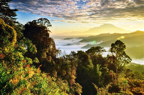 borneo nature tours