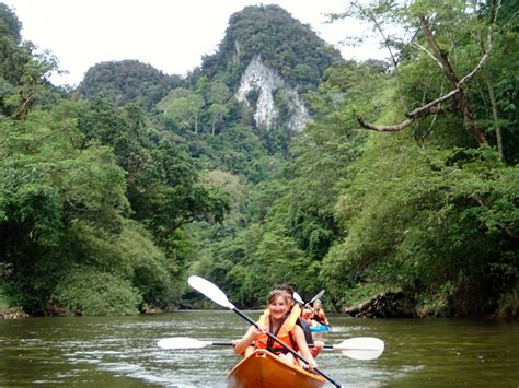 borneo nature tours website