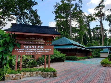 borneo orangutan sanctuary hotel