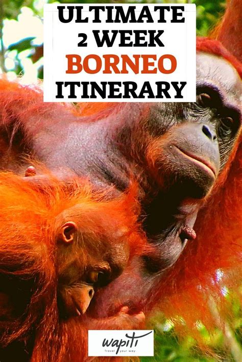 borneo travel guide 2023