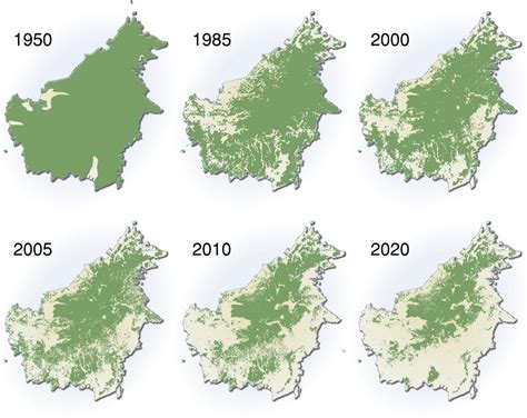 borneo will be deforested by 2020