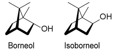 borneol to isoborneol