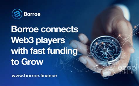 Borroe Roe Fundraise
