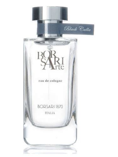 borsari parfum pour homme