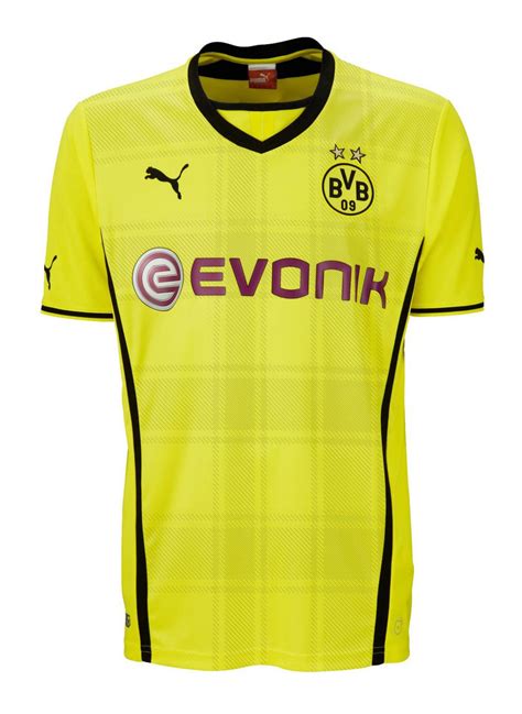 borussia dortmund 2013