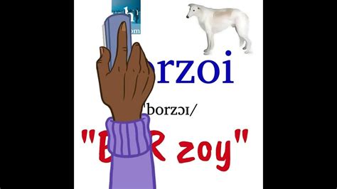 borzoi pro pronunciation