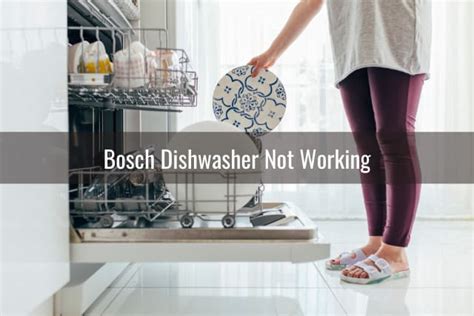Bosch Dishwasher Not Working