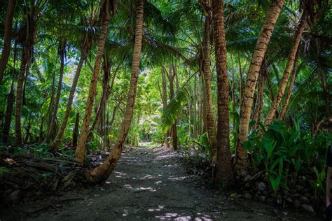 Senderismo y bosque en Seychelles