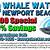boston whale watching coupons
