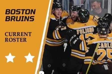 boston bruins 2021 team