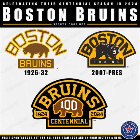 boston bruins centennial pin
