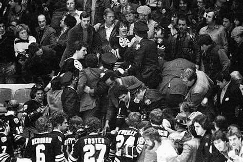 boston bruins fight fans in stands