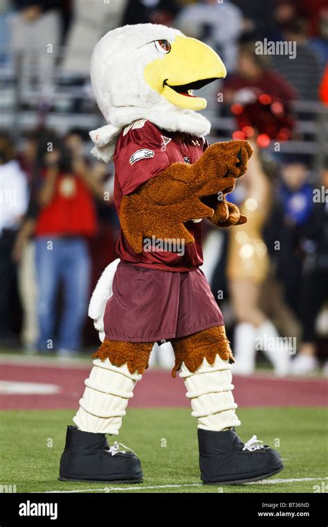 boston college eagles mascot