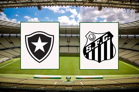 botafogo ao vivo assistir