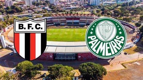 botafogo sp ao vivo online