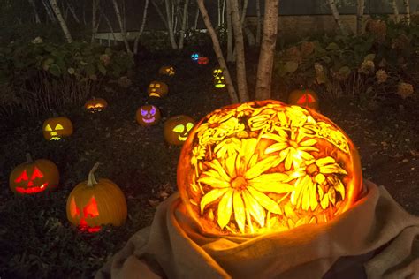 botanic gardens jack o lanterns