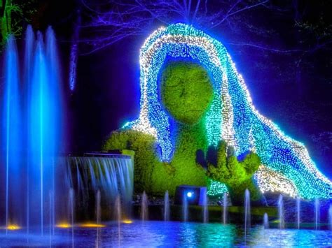 Festival of Lights Christmas at the Botanical Gardens Photograph by