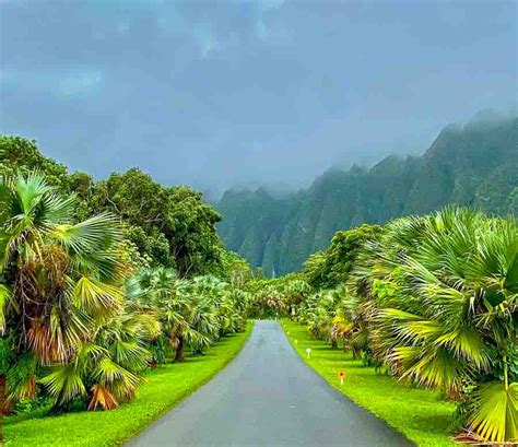 Exploring The Botanical Gardens In Oahu