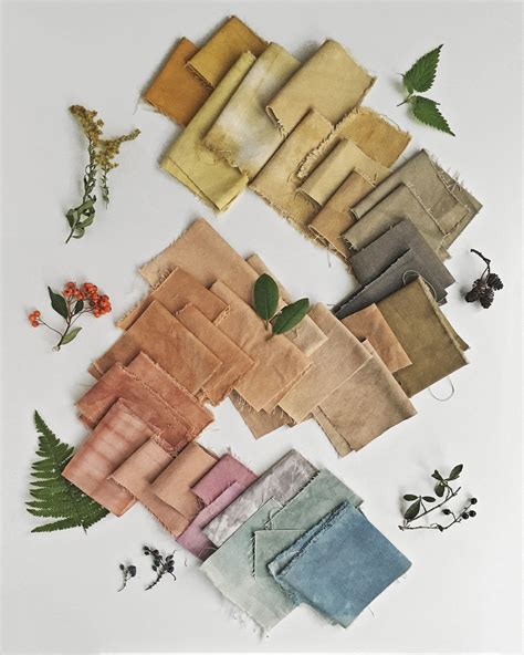 Botanical Fabric Dyeing