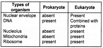 Botany Chapter Wise Questions And Answers