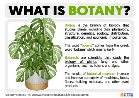 Botany In A Sentence