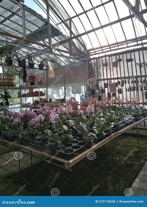 Botany Nursery