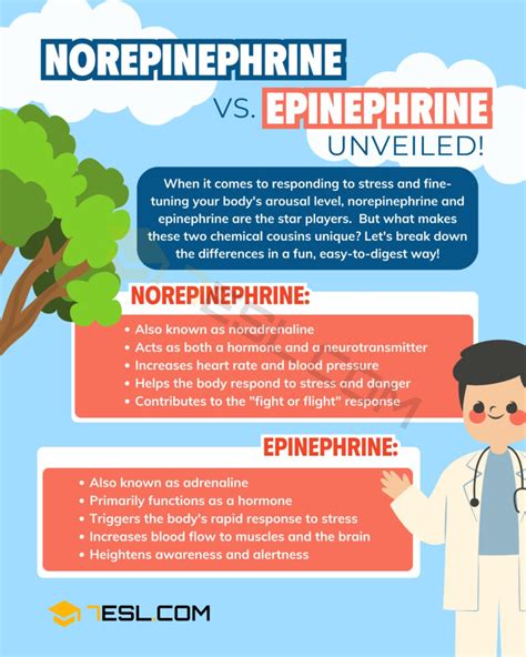 both epinephrine and norepinephrine