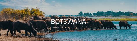 botswana guided tours with flights