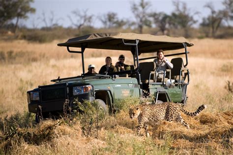 botswana tours and safaris