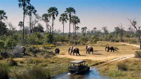 botswana tours from south africa