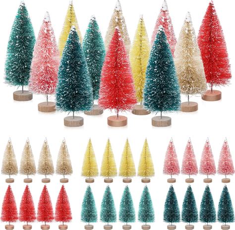 Bottle Brush Tree Amazon