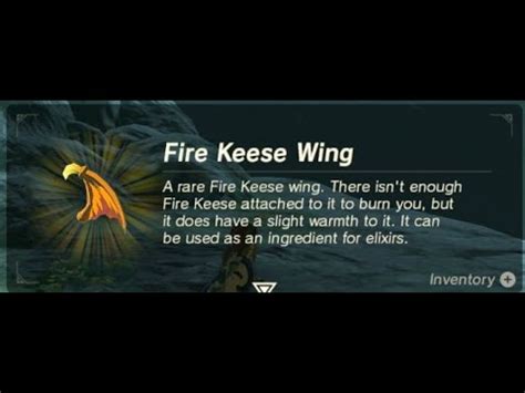 Botw Farming Fire Keese