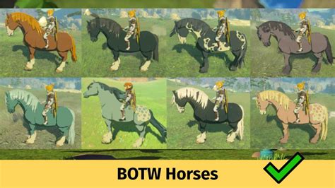 botw horses in totk