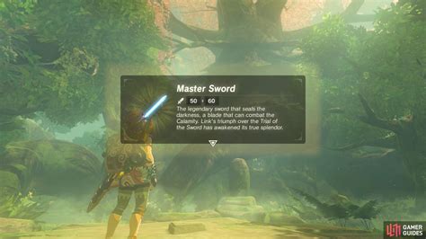 Botw Master Sword Trials Walkthrough