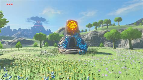 Botw Shrine Flowers