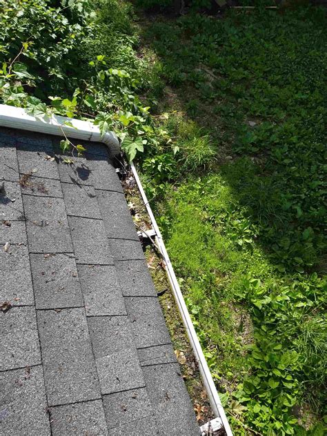 boulder gutter cleaning
