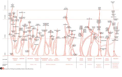 Kings of France family tree 4th Dynasty Bourbon France French