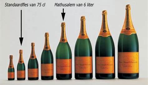 Moet & Chandon 1973 Vintage Champagne 6 Litre / Charity