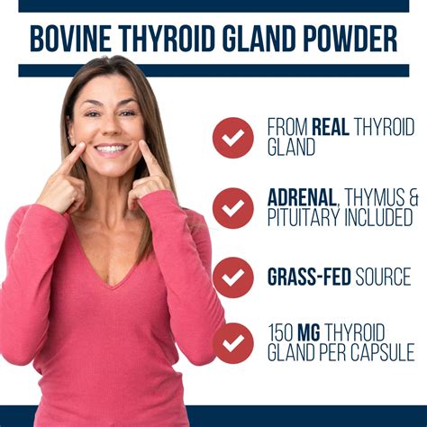 Bovine Thyroid Powder
