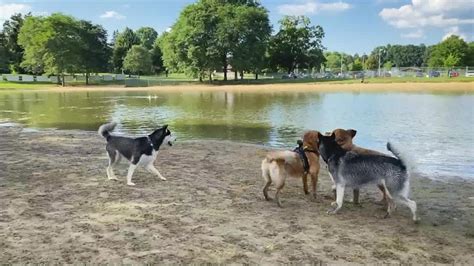 Discover the Ultimate Seaside Adventure: Bow Wow Beach Paradise Awaits