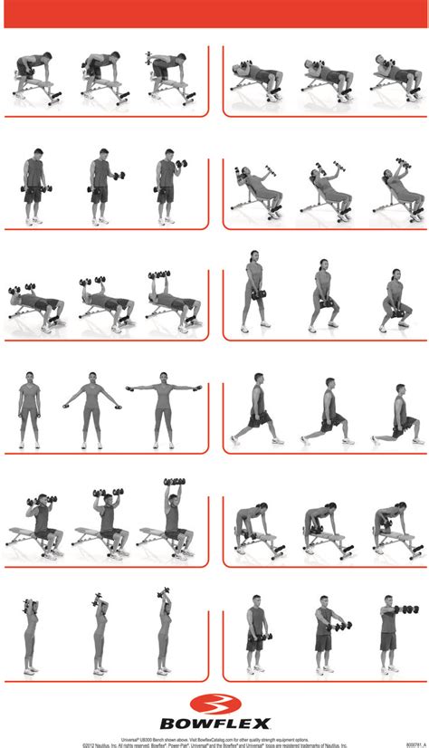 Transform Your Workouts with These Effective Bowflex Bench Exercises