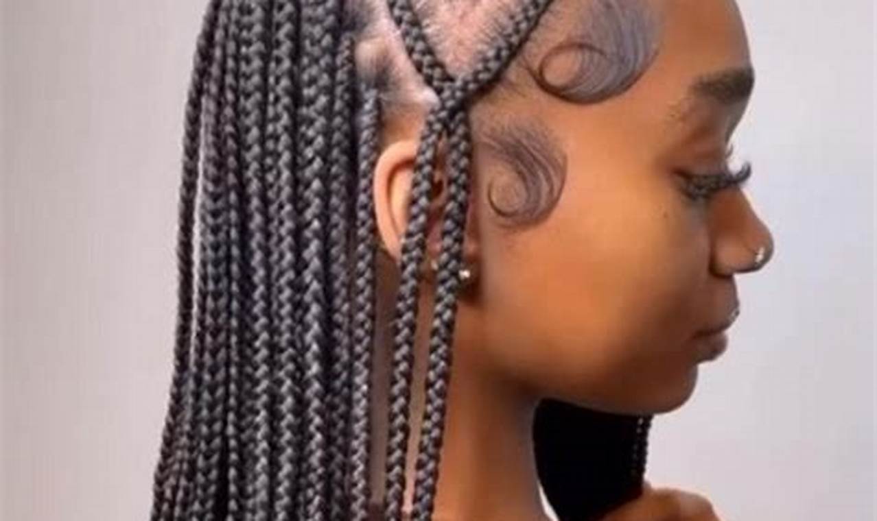 Unveil the Enchanting World of Box Braids with Heart on the Side