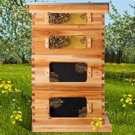 Box For Bee Hive