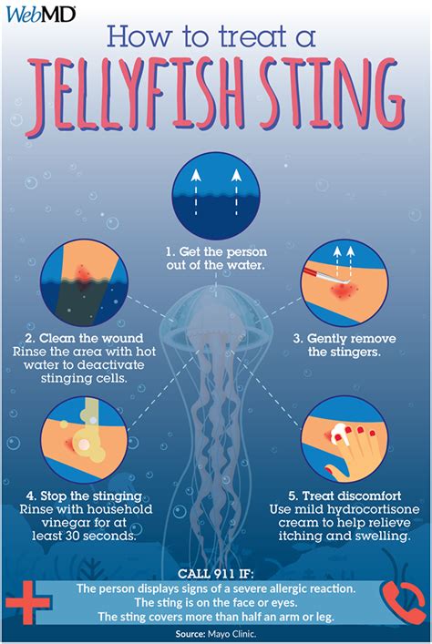 Box Jellyfish Sting Pathophysiology