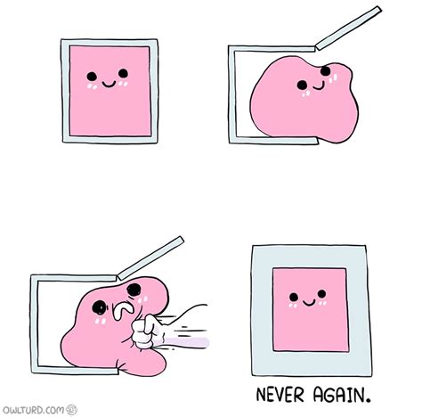 What's In The Box? Funny meme pictures, Funny memes, Funny