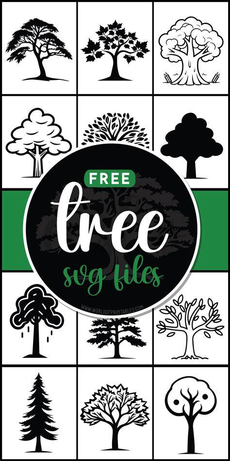 Download box-oval-tree SVG