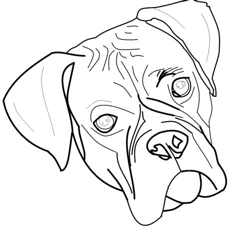 Boxer Puppy Coloring Pages at Free printable