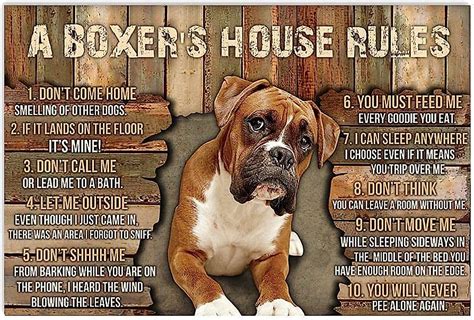 Boxer Dog Rules